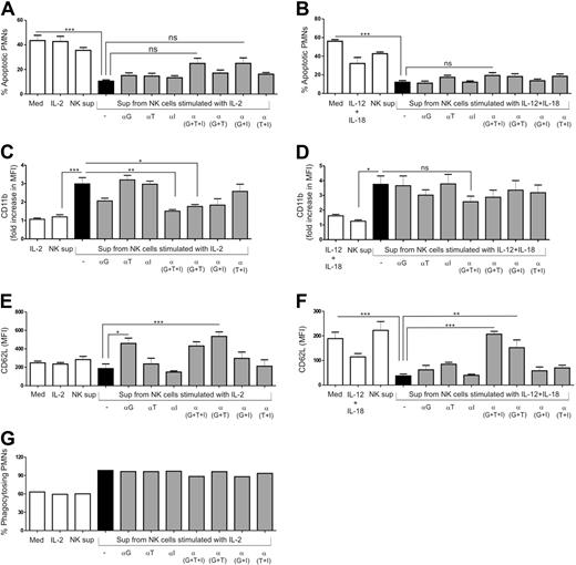 Figure 6. Effect of neutralizing agents against IFNγ, TNFα, and GM-CSF on PMN survival, activation, and function in the presence of supernatants from cytokine-activated NK cells. PMNs were cultured in the absence or presence of supernatants from unstimulated (NK sup) or cytokine-activated NK cells for 18 to 24 hours and compared with the control medium (Med) and PMNs treated with cytokines alone. Monoclonal anti–human GM-CSF antibody (20 μg/mL, αG), purified anti–human IFNγ antibody (20 μg/mL, αI) and soluble TNF receptor (1 μg/mL, αT) were added to PMN cultures in the presence of supernatants from cytokine-activated NK cells in different combinations. Quantitative representation of (A-B) percentage of apoptotic PMNs (n = 4), (C-D) fold increase in CD11b expression (n = 4), (E-F) CD62L expression on the surface of PMNs (n = 4), and (G) percentage of phagocytosing PMNs (n = 1). Fold increase was calculated as MFI of CD11b on PMNs for different conditions divided by the MFI of PMNs when cultured alone (control medium; Med). Results are expressed as mean ± SEM. *P < .05; **P < .01; ***P < .001.