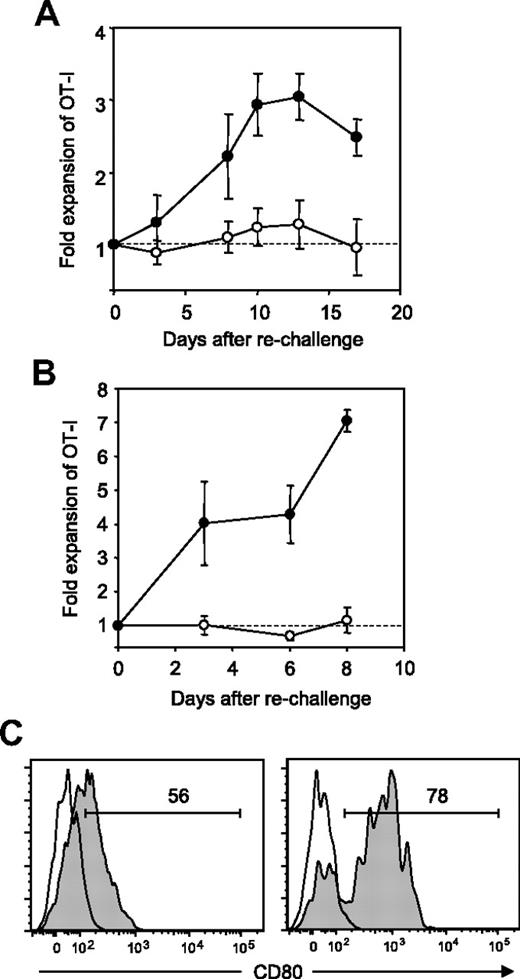 Figure 4. Prevention and restoration of CD8+ T-cell anergy by blockade of B7-H1/CD80 interaction. B6 mice were transferred intravenously with OT-I T cells and injected intravenously with 0.5 mg of OVA257-264 peptide. (A) On day of peptide injection and 3 days later, the mice were treated intraperitoneally with 200 μg of 43H12 (●) or control rat IgG (○). Thirty-four days after initial peptide injection, the mice were rechallenged intravenously with 0.5 mg of OVA257-264 peptide, and percentages of CD8/OVA-tetramer double-positive OT-I T cells in PBMCs were assessed by flow cytometry at the indicated time points. Fold expansion of OT-I T cells was calculated by dividing OT-I T-cell percentages after rechallenge by that before rechallenge in individual mice. (B) Twenty days after the initial OVA peptide injection, the mice were rechallenged with 0.5 mg of OVA257-264 peptide and treated intraperitoneally with 200 μg of 43H12 (●) or control rat IgG (○) on day of peptide rechallenge and 3 days later. Fold expansion of OT-I T cells in PBMC was assessed as in panel A at the indicated time points. (C) Twenty days after the initial OVA peptide injection, the mice were left untreated (left panel) or rechallenged with 0.5 mg of OVA257-264 peptide (right panel). Twenty-four hours later, CD8/OVA-tetramer double-positive OT-I T cells in the spleen were stained with anti-CD80 mAb and analyzed by flow cytometry (gray histogram). Nonstained background levels of the same cells are also shown (open histogram). All experiments were repeated at least 3 times and the representative data are shown. The numbers in the histogram indicate the percentage of positively stained cells.