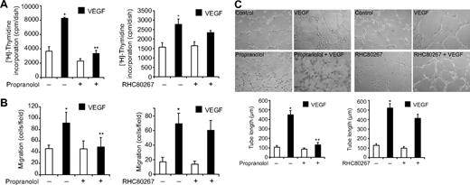 Figure 2. Propranolol, a PAP inhibitor, but not RHC 80267, a DAG lipase inhibitor, blocks VEGF-induced HRMVEC DNA synthesis, migration, and tube formation. (A-C) All the conditions were the same as in Figure 1B, C, and D, respectively, except that either propranolol (200μM) or RHC80267 (50μM) was added to cells 30 minutes before treatment with and without VEGF. Values are mean ± SD. *P < .01 versus vehicle control. **P < .01 versus VEGF.