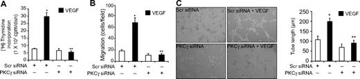 Figure 4. VEGF-induced HRMVEC DNA synthesis, migration, and tube formation require PKCγ activation. (A-C) All the conditions were the same as in Figure 1B, C, and D, respectively, except that cells were transfected with either scrambled or PKCγ siRNA and quiesced before subjecting them to VEGF-induced DNA synthesis, migration, or tube formation. (A-C) Bar graphs represent the quantitative analysis of 3 independent experiments. Values are mean ± SD. *P < .01 versus Scr siRNA. **P < .01 versus Scr siRNA plus VEGF.