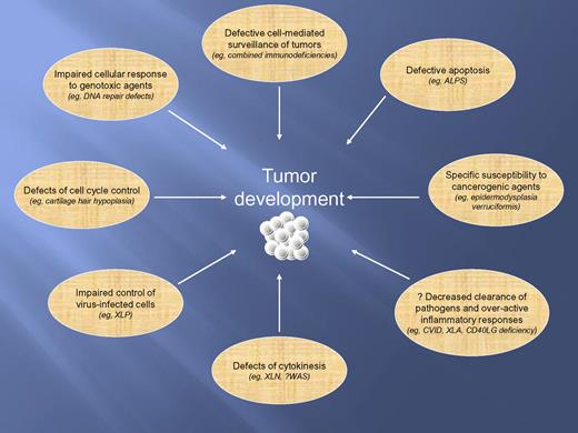 Mechanisms contributing to susceptibility to tumors in patients with PIDs. ALPS indicates autoimmune lymphoproliferative syndrome; CVID, common variable immunodeficiency diseases; CD40LG, CD40 ligand gene; WAS, Wiskott-Aldrich syndrome; XLA, X-linked agammaglobulinemia; XLN, X-linked neutropenia (allelic to WAS); and XLP, X-linked lymphoproliferative disease.