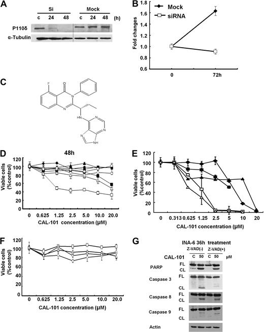 Figure 2. Selective cytotoxicity of CAL-101 against p110δ-positive MM cell lines and patient MM cells. (A) INA-6 cells were transfected with p110δ siRNA (Si) or control siRNA (Mock). After 24 hours, expression of p110δ was determined by Western blot analysis. Vertical lines have been inserted to indicate a repositioned gel line. (B) INA-6 cells were transfected with p110δ siRNA or control siRNA and then cultured for 72 hours. Cell growth was assessed by MTT assay. Data are mean ± SD of triplicate cultures, expressed as fold of control. (C) The chemical structure and PI3K assay profiling data of CAL-101. (D) LB (□), INA-6 (▵), RPMI 8226(○), OPM2 (◇), H929 (●), U266 (♦), RPMI-LR5 (▴), and OPM1 (■) MM cells were cultured with or without CAL-101 (0-20μM) for 48 hours. (E) Patient MM cells isolated from BM by negative selection were cultured with CAL-101 for 48 hours. (F) PBMCs isolated from healthy donors were cultured with CAL-101 (0-20μM) for 72 hours. Data are mean ± SD viability, assessed by MTT assay of triplicate cultures, expressed as percentage of untreated controls. (G) INA-6 cells were cultured with or without CAL-101 (50μM for 36 hours ± Z-VAD-fmk). Total cell lysates were subjected to immunoblotting using anti–caspases 3, 8, and 9, PARP, and actin Abs. FL indicates full-length protein; and CL, cleaved protein.