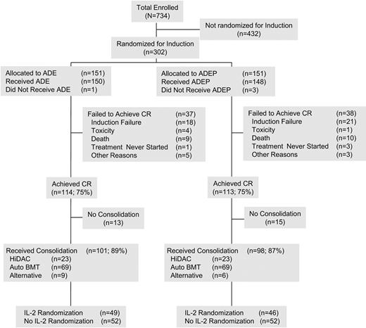Figure 1. CONSORT flow sheet. The first 302 patients enrolled were randomly assigned between ADE and ADEP. After the unavailability of PSC-833, all subsequent patients received induction chemotherapy with ADE. All 302 patients randomly assigned are included in the analysis, as required by the ITT principle. The flow sheet outlines the therapies received by patients in CR. BMT indicates bone marrow transplantation.