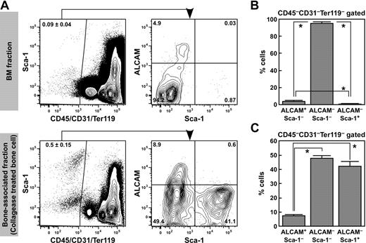 Figure 1. Isolation and frequency of endosteal cell populations. (A) Representative FACS profile of ALCAM and Sca-1 expression in CD45−CD31−Ter119− cells in BM cells (top) and the bone-associated fraction (cells isolated from bone fragments using collagenase treatment, bottom). CD45−CD31−Ter119− cells were gated, and the expression of Sca-1 and ALCAM was analyzed. CD45−CD31−Ter119− cells were subdivided into 3 fractions: ALCAM+Sca-1−, ALCAM−Sca-1−, and ALCAM−Sca-1+ cells. (B) Frequency of ALCAM+Sca-1−, ALCAM−Sca-1−, and ALCAM−Sca-1+ populations in the CD45−CD31−Ter119− fraction in BM cells. Data represent means ± SD (*P < .01, n = 6). (C) Frequency of ALCAM+Sca-1−, ALCAM−Sca-1−, and ALCAM−Sca-1+ populations in the CD45−CD31−Ter119− fraction in bone-associated cells. Data represent means ± SD (*P < .01, n = 6).