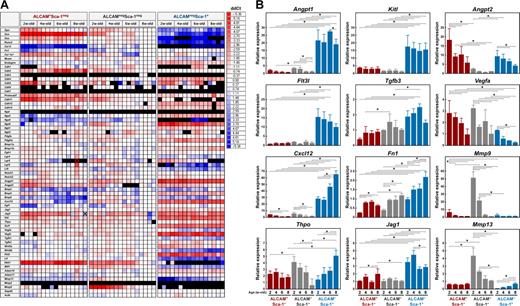 Figure 7. Dynamic array analysis of endosteal populations isolated from 2-, 4-, 6-, and 8-week-old BM. To analyze changes in gene expression in ALCAM+Sca-1−, ALCAM−Sca-1−, and ALCAM−Sca-1+ cells isolated from the BM of 2-, 4-, 6-, and 8-week-old mice, gene expression was examined by dynamic array. (A) Representative gene expression pattern of selected genes. The horizontal axis is a list of genes tested, including internal controls, and the vertical axis represents the quadruplicate cell samples. The color in each cross point indicates ddCt. (B) Changes in gene expression levels of Angpt1, Kitl, Angpt2, Flt3l, Tgfb3, Vegfa, Cxcl12, Fn1, Mmp9, Thpo, Jag1, and Mmp13. Gapdh was used for an endogenous control. Data represent means ± SD. Statistical differences were analyzed among each population and between each age (*P < .05).