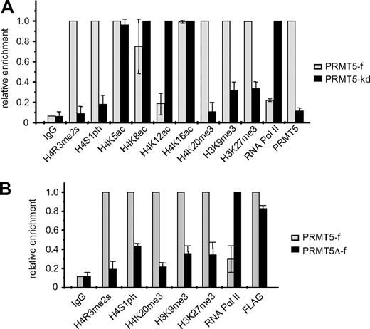 Figure 1. Comparison of histone modifications at the γ-promoter in PRMT5-f and PRMT5-kd K562 cells. (A) Enrichment of various histone modifications, RNA polII and PRMT5 at the γ-promoter was measured by chromatin immunoprecipitation (ChIP) in K562 cells expressing PRMT5-f, or in PRMT5-kd cells. (B) Enrichment of various histone modifications, RNA polII and FLAG-tagged proteins at the γ-promoter was measured by ChIP in K562 cells expressing PRMT5-f or PRMT5Δ-f. The error bars correspond to the SD. The SD is between the means of 3 independent experiments.