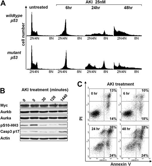 Figure 5. Aurk inhibition triggers mitotic arrest and polyploidy and induces apoptosis of Eμ-Myc lymphoma cells irrespective of the p53 status. (A) Eμ-Myc lymphoma cells cultured ex vivo were treated for the indicated times with 25nM AS703569 (AKI) and assessed for DNA content by flow cytometric analysis of PI-stained cells. The PI-stained cells were analyzed using the FL2 channel in a linear scale. Shown are representative histograms. The quantification and statistical analyses of 3 independently performed experiments are provided in supplemental Figure 4. (B) Eμ-Myc lymphoma cells were treated for the indicated times with the AKI AS703569 (25nM). Expression of the indicated proteins was assessed using immunoblotting. (C) Untreated Eμ-Myc lymphoma cells or cells treated with 25nM AS703569 (AKI) for the indicated times were analyzed for their apoptotic index by staining with annexin V–PI. Cells in the top right quadrant represent late apoptotic/necrotic cells. Cells in the bottom right quadrant represent early apoptotic cells. The percentage of cells in these quadrants is given. Shown is one representative dot blot graph of 3 independently performed experiments.