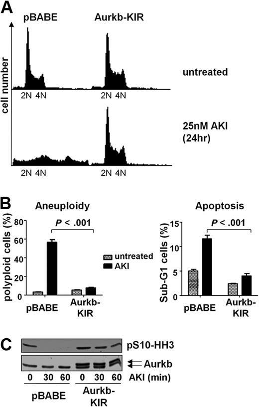 Figure 6. Overexpression of an AKI-resistant mutant of Aurkb renders Myc-expressing lymphoma cells resistant to Aurk inhibition. (A) Eμ-Myc lymphoma cells were infected with control virus (pBABE) or pBABE-AurkbG160V (Aurkb-KIR) encoding retrovirus. The cells were then selected with puromycin and treated with 25nM AS703569 (AKI) for 24 hours. The representative histogram shows the DNA content assessed by PI staining. (B) Quantification of aneuploidy and apoptosis on AKI treatment in control cells and cells expressing of Aurk-KIR. Cells were treated with carrier only (untreated) or 25nM AS703569 (AKI) and subjected to DNA content analysis using PI staining and flow cytometry. The PI-stained cells were analyzed using the FL2 channel in a linear scale. Apoptosis measurements were based on the percentage of cells that carried less than diploid DNA content (Sub-G1) in the FL3 channel in a logarithmic scale. (C) Control cells (pBABE) or cells expressing mutant Aurkb (Aurkb-KIR) were treated for the indicated time with 25nM AS703569 (AKI) and assessed for Aurkb and phosphorylated S10-HH3 levels by immunoblotting. Note that Aurkb-KIR was Flag-tagged and migrates slightly slower than endogenous Aurkb.