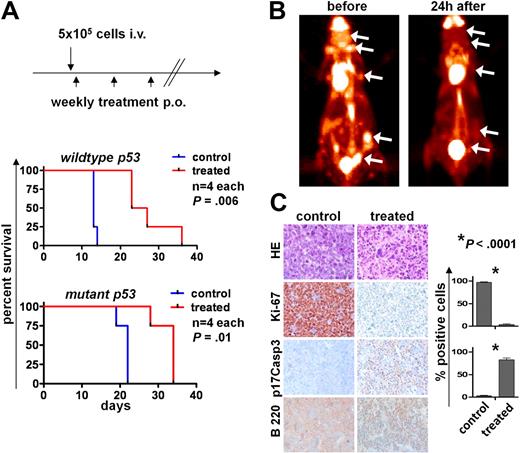 Figure 7. Aurk activity is required for maintenance of Myc-driven lymphoma in vivo. (A) Top panel: Schedule of lymphoma cell injection and AS703569 treatment (60 mg/kg body weight, once weekly per oral gavage). Bottom panels: Survival curves. p53 wild-type or p53 mutant Eμ-Myc lymphoma cells were injected intravenously into syngeneic recipients, and mice were followed for lymphoma onset. The differences between the control and Aurk inhibitor treatment groups (treated) are statistically significant. (B) FDG-PET scans were performed before and 24 hours after a single oral treatment with Aurk inhibitor (AS703569, 60 mg/kg body weight) in a mouse with manifest lymphoma. (C) Histologic assessment of Aurk inhibition in manifest lymphomas. Top row: Hematoxylin and eosin (HE) staining shows massive necrosis after Aurk inhibition in treated versus control mice (lymph node). Immunohistochemistry for the indicated markers shows a reduction of proliferating cells as assessed by Ki-67 positivity (second row) and increased apoptotic cell death assessed by staining for cleaved (p17) caspase-3 (p17Casp3; third row). Image acquisition: Zeiss Axioplan 2 microscope; 20×/0.5 NA Plan-Neofluar air objective; Zeiss Axiocam MRc 5 camera; Axiovision Rel 4.6 scanning software; original magnification ×200. Right panel: Quantification of the percentage of Ki-67 and p17Casp3-positive cells in control lymphomas or lymphomas from mice treated 24 hours with a single dose of the Aurk inhibitor AS703569. Bars represent the mean percentage ± SEM of positive cells from lymph nodes from 3 different control or AS703569-treated mice.