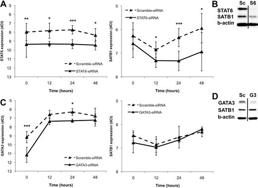 Figure 1. SATB1 expression is down-regulated by knockdown of STAT6 but not by knockdown of GATA3. (A) Cord blood and buffy coat CD4+ T cells were nucleofected with STAT6-siRNA or scrambled control siRNA, and cells were cultured in Th2-polarizing conditions. Cells from 3 to 7 independent experiments were harvested at indicated time points and analyzed using quantitative RT-PCR. The normalized expression (dCt) of STAT6 (left panel) and SATB1 (right panel) mRNA of STAT6-siRNA (solid line) and control siRNA (dashed line) nucleofected cells is presented. (B) Effect of STAT6 knockdown on SATB1 expression at 3-day time point in Th2 condition analyzed with Western blotting. Sc indicates scrambled control siRNA; and S6, STAT6-siRNA. Representative value of 3 independent experiments. Vertical lines have been inserted to indicate a repositioned gel lane. (C) Cord blood CD4+ T cells were nucleofected with GATA3-siRNA or scrambled control siRNA, and cells were cultured in Th2-polarizing conditions. Cells from 3 independent experiments were harvested at indicated time points and analyzed using quantitative RT-PCR. The normalized expression (dCt) of GATA3 (left panel) and SATB1 (right panel) mRNA of GATA3-siRNA (solid line) and control siRNA (dashed line) nucleofected cells is presented. (D) Effect of GATA3 knockdown on SATB1 expression at 1-day time point in Th2 condition analyzed with Western blotting. Sc indicates scrambled control siRNA; and G3, GATA3-siRNA. Representative value of 3 independent experiments. Vertical lines have been inserted to indicate a repositioned gel lane. *P < .05. **P < .01. ***P < .005.
