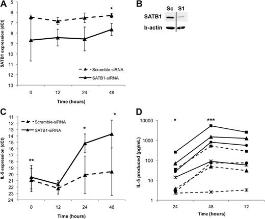 Figure 3. Knockdown of SATB1 greatly induces IL-5 expression in polarizing Th2 cells. Cord blood CD4+ T cells were nucleofected with SATB1-siRNA or scrambled control siRNA and cultured in Th2-polarizing conditions. The cells and the culture media were collected at indicated time points. (A) Samples from 3 independent experiments were analyzed using quantitative RT-PCR. The normalized expression (dCt) of SATB1 mRNA of SATB1-siRNA (solid line) and control siRNA (dashed line) nucleofected cells is presented. (B) Effect of SATB1-siRNA on SATB1 expression at the 24-hour time point in the Th2 condition analyzed with Western blotting. Sc indicates scrambled control siRNA; and S1, SATB1-siRNA. Representative value of 3 independent experiments. Vertical lines have been inserted to indicate a repositioned gel lane. (C) Samples from 3 independent experiments were analyzed using quantitative RT-PCR. The normalized expression (dCt) of IL-5 mRNA of SATB1-siRNA (solid line) and control siRNA (dashed line) nucleofected cells is presented. (D) The culture media of 4 independent experiments was measured for secreted IL-5 using Bio-Plex assay and is expressed as picograms per milliliter. Each symbol type represents an independent experiment. Solid and dashed lines indicate SATB1-siRNA and scrambled control-treated cells, respectively. *P < .05. *P < .01. ***P < .005.