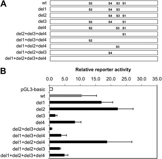 Figure 5. Differential role of SBSs on IL-5 expression. (A) A schematic of IL-5 promoter constructs with different combinations of SBSs deleted used in the reporter assay. (B) Buffy coat CD4+ T cells were nucleofected with pSUPER-H-2Kk-Scramble2-shRNA construct and WT IL-5 luciferase reporter vector or its SBS deleted version. Data represent mean ± SD of 3 independent experiments.