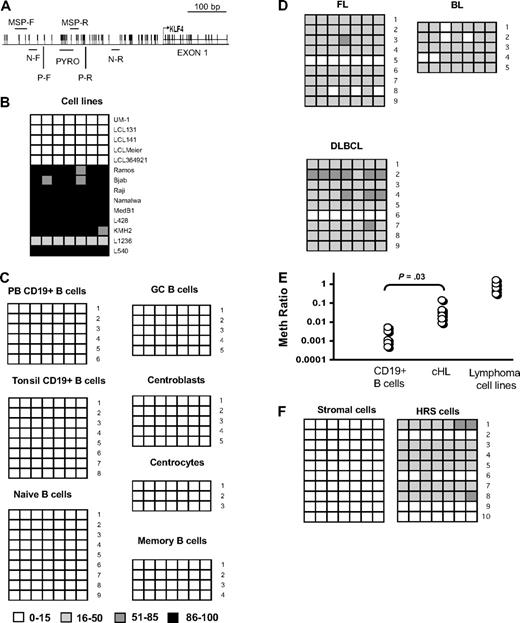 Figure 2. KLF4 promoter is hypermethylated in B-cell lymphomas. (A) Region of KLF4 promoter analyzed by pyrosequencing (PYRO) from −226 to −252 base pairs from start of transcription. MSP-F and MSP-R indicate the positions of methylation-specific primers for Q-MSP; N-F and N-R, locations of outer primers for nested PCR; and P-F and P-R, locations of the pyrosequencing amplification primers. The transcription start site is indicated by an arrow. (B) Pyrosequencing analysis of KLF4 promoter methylation in LCL and lymphoma cell lines. The methylation status of 7 CpG dinucleotides was analyzed. The ratio of methylated CpG is indicated by color coding. (C) Pyrosequencing analysis of KLF4 promoter methylation in peripheral blood and tonsillar CD19+ cells as well as in tonsillar B-cell subsets. (D) Pyrosequencing analysis of KLF4 promoter methylation in the primary cases of FL, DLBCL, and BL. (E) Methylation status of cHL samples. Bisulfite-converted genomic DNA from 7 samples of normal CD19+ cells isolated from peripheral blood, 8 samples of primary cHL cases, and from B-cell lymphoma cell lines L428, KM-H2, L540, Namalwa, Raji, and Ramos were analyzed for the presence of methylated KLF4 alleles by Q-MSP. Data represent the ratio of methylated to unmethylated KLF4 alleles in the sample. The ACTB template, which is amplified independently of methylation, is used as a reference. CD19+ normal B cells represent hypomethylated control, and B-lymphoma cell lines are used as hypermethylated control. KLF4 promoter methylation level in cHL samples is significantly higher than in normal CD19+ cells (2-sided t test). (F) Genomic DNA was isolated from 100 microdissected HRS or stromal and bystander cells isolated from 10 cHL samples each. Bisulfite-converted samples were amplified by nested PCR with primers located as shown in panel A, and methylation status of 7 individual CpGs was measured as described in panel B.