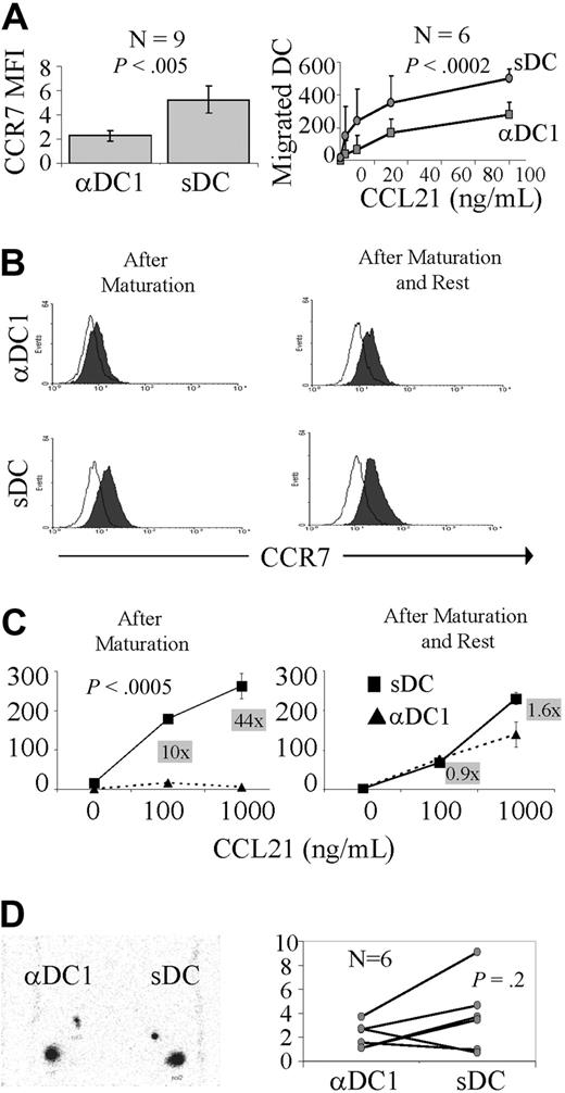 Figure 1. Transient elevation of CCR7 expression and in vitro migratory responsiveness to lymph node–associated chemokines in PGE2-matured DCs. (A left) Surface CCR7 expression in DCs matured into αDC1s or sDCs in 9 different donors. (A right) In vitro migratory response of αDC1s and sDCs to CCL21, a secondary lymphoid organ chemokine (data from 6 different donors shown as mean ± SD). (B) Surface expression of CCR7 protein on αDC1s and sDCs at 0 (left) and 24 hours after completion of maturation and replating in the absence of the maturation-inducing factors (right). (C) In vitro migratory response to CCL21 of αDC1s and sDCs, directly (left) and 24 hours (right) after removal from the maturation cultures. The numbers in gray boxes represent the ratios between the numbers of sDCs and αDC1 that migrated to each individual concentration of CCL21. Similar data were obtained in 2 independent experiments. (D, left) In vivo migration of αDC1s and sDCs to the lymph nodes. Scintigraphic image of 111indium-labeled αDC1 and sDC at intradermal injection site and draining lymph nodes at 48 hours in a single representative patient. (D, right) In vivo migration of αDC1s or sDCs in 6 patients (each pair of dots represents each individual patient).
