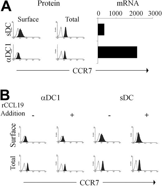 Figure 2. Selectively elevated CCR7 expression on the surface of PGE2-matured DCs occurs despite reduced levels of CCR7 mRNA and is suppressed by the exposure to CCL19. (A) Directly after harvesting from maturation cultures, αDC1s and sDCs were analyzed for the expression of surface CCR7 (left panel) and total (surface and intracellular; middle panel) CCR7 protein and for CCR7 mRNA expression (right panel). (B) Surface (top) and total (bottom) expression of CCR7 protein was analyzed in αDC1s, and sDCs matured in the absence or presence of exogenous CCL19 (100 ng/mL). Similar data were obtained in 3 independent experiments (3 different donors).