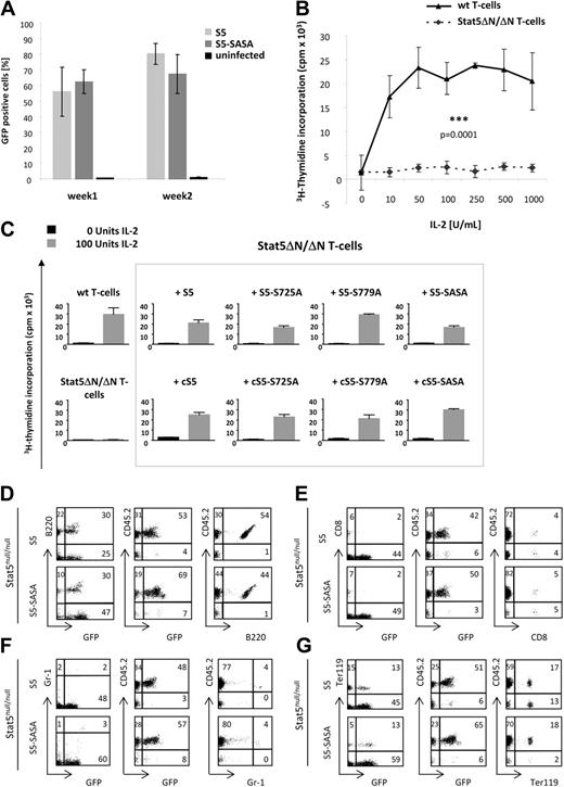 Figure 3. WT and constitutively active Stat5a mutants show full biologic activity in Stat5ab-deficient cells and in a fetal-liver cell transplant. (A) Mast cells derived from Stat5abnull/null fetal livers were transduced with Stat5a-expressing retroviral vectors. After transduction, the percentage of GFP+ cells was assessed at various points of time. The results obtained on days 3, 5, and 8 and those of days 10, 14, and 16 are summarized in “week 1” and “week 2,” respectively. Uninfected cells were used as negative controls without retroviral vector. (B) Unlike primary WT splenocytes, primary Stat5ΔN/ΔN T cells were not able to proliferate in response to saturating doses of IL-2 and T-cell receptor activation by α-CD3.31 The values given are representative of 6 independent measurements ± SEM. (C) Thymidine incorporation assay of starved and IL-2–restimulated T cells. Primary Stat5-deficient T cells (Stat5ΔN/ΔN) were transduced with different retroviral Stat5a constructs labeled with a GFP marker. When Stat5ΔN/ΔN T cells were reconstituted with WT Stat5a or a biologically functional Stat5a mutant, they fully regained their proliferation capacity, while noninfected cells underwent apoptosis. All WT and constitutively active Stat5a mutants were able to rescue the proliferation defect of Stat5ΔN/ΔN T cells. In contrast to WT mutants, cS5 mutants showed slightly increased thymidine incorporation even without cytokine stimulation. The results represent 4 independent experiments. (D-G) Stat5abnull/null fetal livers (CD45.2) were retrovirally transduced with WT Stat5a (S5) and S5-SASA vectors and transplanted into lethally irradiated CD45.1 recipients. Mice were bled 8 weeks after transplantation and analyzed by FACS for donor engraftment (CD45.2),30 GFP expression, and lineage repopulation. Repopulating capacity was assessed for (D) B cells (B220) as well as for (E) T cells (CD8), (F) granulocytes (Gr-1), and (G) erythrocytes (Ter119). For each lineage, marker expression was plotted against GFP expression (left), GFP expression against CD45.2 expression of the donor (middle) and marker against CD45.2 expression (right). Both S5- and S5-SASA–reconstituted animals exhibited normal hematopoiesis in all lineages analyzed (n = 2 per group).