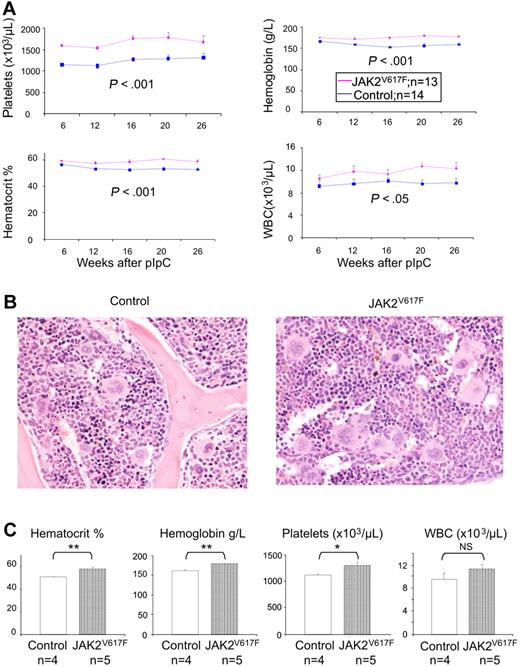 Figure 2. JAK2V617F mice develop a myeloproliferative disease. (A) Time course of blood parameters of JAK2V617F and control mice showing significantly increased platelets, hematocrit, and hemoglobin, and moderately elevated white blood cell counts (JAK2V617F, JAK2F/+Mx1Cre+; controls, JAK2+/+Mx1Cre+). Data are mean ± SEM. (B) Hematoxylin and eosin staining of BM with megakaryocytic hyperplasia with increased clustering and hyperlobated nuclei. (C) Myeloproliferative phenotype is transplantable. Histograms show blood counts of recipient mice 12 weeks after transplantation of 1 × 106 BM cells from either JAK2V617F or control mice. *P < .05. **P < .01. NS indicates not significant. Data are mean ± SEM.