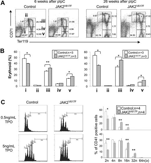 Figure 4. JAK2V617F mice exhibit enhanced erythroid and megakaryocyte differentiation. (A) Representative FACS profiles stained with CD71 and Ter119 antibodies are shown; i through v correspond to progressive stages of erythroid differentiation. (B) Histograms show increased terminal erythroid differentiation in JAK2V617F mice BM at 6 and 26 weeks after pIpC. *P < .05. **P < .01. Data are mean ± SEM. (C) Increased megakaryocyte ploidy in JAK2V617F mice. FACS profiles for megakaryocytes grown in liquid culture are shown. Histograms represent results from 2 independent experiments. *P < .05. **P < .01. Data are mean ± SEM.