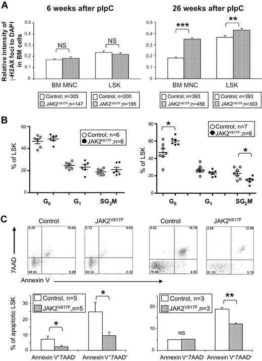 Figure 7. LSK cells from JAK2V617F mice exhibit increased DNA damage, reduced cell cycling, and reduced apoptosis. (A) Intensities of γ-H2AX foci relative to DAPI obtained for BM cells (70-138 nuclei per mouse) and LSK cells (33-112 nuclei per mouse) from JAK2V617F mice at both 6 and 26 weeks after pIpC. Histograms show significantly higher relative intensities of γ-H2AX foci in cells from JAK2V617F mice compared with the cells from the control mice at 26 weeks, but not at 6 weeks after pIpC. (B) LSK cell-cycle analysis showing increased quiescence in JAK2V617F 26 weeks after pIpC. LSK cells were subjected to 2-parameter analysis with DNA content versus Ki-67 expression, and the percentages of LSK cells in each of the cell-cycle phases were obtained (G0, Ki-67lowPIlow; G1, Ki-67hiPIlow; S/G2/M, Ki-67hiPIhi). *P < .05. (C) Representative FACS plots and histograms showing reduced apoptosis in LSK cells from JAK2V617F mice. Annexin V and 7AAD staining was analyzed on gated LSK cell populations from JAK2V617F mice at both 6 and 26 weeks after pIpC. *P < .05. **P < .01. ***P < .001. NS indicates not significant.