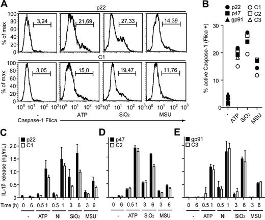 Figure 1. Macrophages from CGD patients activate caspase-1 and secrete mature IL-1β. (A-B) Caspase-1 activation in monocyte-derived macrophages determined by a fluorescent inhibitor of active caspase-1 (FLICA). (A) Lipopolysaccharide (LPS)–primed (−) macrophages from a chronic granulomatous disease (CGD) patient (p22) and a healthy control (C1) stimulated for 1 hour with adenosine triphosphate (ATP) or for 6 hours with silica crystals (SiO2) or monosodium urea (MSU) crystals. Numbers above bracketed lines indicate percentage of cells with active caspase-1. (B) Active caspase-1 in macrophages from 3 CGD patients with the indicated mutations and 3 healthy controls (C1-C3) quantified by caspase-1 FLICA. (C-E) Macrophages from the indicated CGD patients and healthy donors stimulated with LPS plus ATP, nigericin (NI), SiO2, or MSU. The production of mature interleukin-1β (IL-1β) at the indicated time points was determined by enzyme-linked immunosorbent assay. Data are representative of 6 experiments with cells from at least 5 different CGD patients (error bars indicate SEM of triplicate wells).