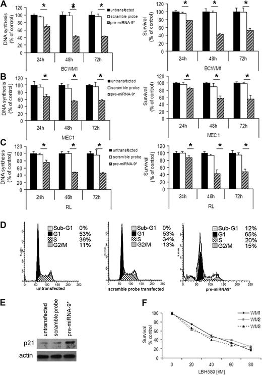 Figure 4. miRNA-9* regulates proliferation and survival in WM cells as well as in low-grade lymphoma IgM-secreting cells. (A) WM cells (A: BCWM.1), low-grade lymphoma IgM-secreting cell lines (B: MEC1; C: RL; scramble probe–, precursor (pre)–miRNA-9*–transfected, and untransfected) were harvested at 24, 48, and 72 hours after transfection; DNA synthesis and cytotoxicity were assessed by thymidine uptake and 3-(4,5-dimethylthiazol-2-yl)-2,5-diphenyltetrazolium bromide (MTT) assays, respectively (*P < .05). (D) Cell cycle analysis was performed by propidium iodide staining with BCWM.1 cells (untransfected, scramble probe–, and pre-miRNA-9*–transfected). (E) BCWM.1 cells (untransfected, scramble probe–, and pre-miRNA-9*–transfected) were harvested at 12 hours after transfection. Whole-cell lysates were subjected to Western blotting with anti-p21 and -actin antibodies. (F) Freshly isolated normal CD19+ cells from normal PBMCs were cultured with LBH589 (0-80nM) for 48 hours. Cytotoxicity was assessed by MTS assay.