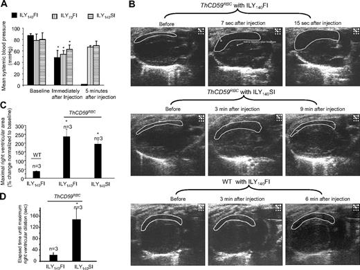 Figure 3. Systemic blood pressures and echocardiogram in ILY-treated mice. (A) Hemolysis in the ThCD59RBC induced by ILY injection with 3 different dosing schedules induced an immediate, rapid decrease in MABP. Five minutes later, the mice treated with either ILY140SI or ILY70FI had a gradual increase in the MABP, but all mice treated with ILY140FI died (and had no measurable MABP). *P < .05 (n = 4) compared with the respective baseline level of MABP. (B) Representative echocardiographic frames in the parasternal long-axis view show the dynamic changes in right ventricular volume in the ThCD59RBC mice treated with different ILY dosing schedules (the full echocardiogram videos are showed in supplemental Videos 1-4). *P < .01 vs WT with ILY140FI. (C) Increased percentage of maximal right ventricular area at end-diastole vs baseline right ventricular area in the mice treated with the ILY. *P < .05 vs ILY140FI. (D) Elapsed time until maximal right ventricular dilation was achieved in the mice treated with ILY140FI and ILY140SI. *P < .05 vs ILY140FI. Results represent mean ± SEM.