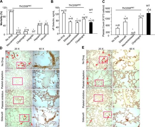 Figure 7. Platelet depletion, platelet inhibition, or antithrombotic therapy prevented death or prolonged survival times in the ThCD59RBC mice treated with ILY140FI. The mortality rates (A), sP-selectin levels (B), platelet counts (C), lung P-selectin (D), and integrin αIIb staining (E) in the ThCD59RBC mice pretreated with the different antithrombotic agents before ILY140FI treatment. The WT mice treated with ILY140FI were used as the control for sP-selectin and integrin αIIb staining and platelet counts. *P < .05 vs ThCD59RBC without drug pretreatment.