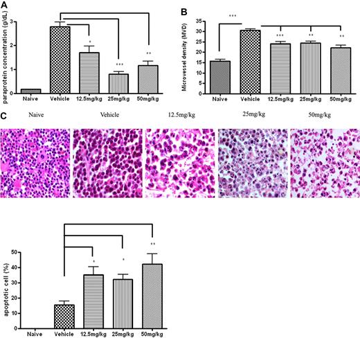 Figure 2. In vivo therapeutic effects of TH-302 on 5T33MM model. 5T33MMvv mice were treated prophylactically with TH-302 for 3 weeks from day 1. (A) Serum paraprotein level (as determined by serum electrophoresis) was decreased after treatment with TH-302. (B) Histomorphometric analysis of MVD. MVD was determined by CD31 staining as described in “Methods.” In the area with the highest blood vessel density (hot spot), the number of blood vessels was counted per 0.22 mm2. (C) Hematoxylin and eosin staining of bone marrow section. Nuclei from apoptotic cells show condensed, fragmented morphology. Original magnification, × 63; n = 10/group. Detailed image information available in supplemental Methods. Quantitative data are the frequency of apoptotic MM cells in bone marrow sections. *P < .05, **P < .01, significantly different from vehicle. n = 10/group.