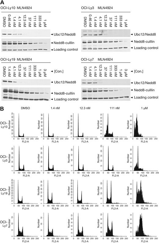 Figure 1. MLN4924 is a potent inhibitor of NAE and induces distinct cell-cycle profiles analyzed by flow cytometry in ABC- and GCB-DLBCL cell lines. OCI-Ly10, OCI-Ly3, OCI-Ly19, and OCI-Ly7 cells were treated with MLN4924 for 24 hours. (A) Inhibition of NAE was assessed by immunoblot analysis of Ubc12-NEDD8 thioester and cullin-NEDD8 levels, respectively. The nonspecific band serves as the loading control. (B) DNA profiles were analyzed by propidium iodide staining and flow cytometry.