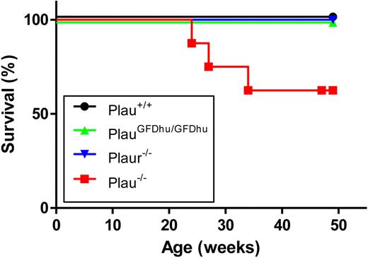 Figure 3. Survival of mice with abrogated uPA-uPAR interaction. The 1-year survival of a prospective cohort of Plau+/+ (n = 8), PlauGFDhu/GFDhu (n = 9), Plaur−/− (n = 7), and Plau−/− (n = 7) mice. P < .01, Plau−/− versus other genotypes, log rank test, 2-tailed.