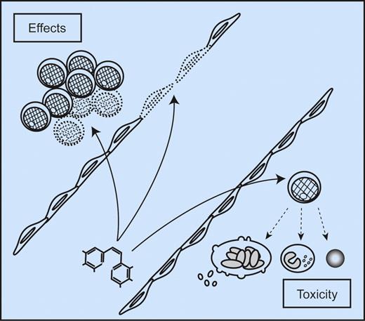 Bone marrow effects of antivascular agents for leukemia treatment. Vascular disrupting agents (basic structure of OXi4503 shown at the bottom left) can mediate their antileukemic effects through multiple mechanisms. First, the agents directly target the endothelial cells and destroy vasculature; this represents an indirect antileukemic activity by decreasing the supply of oxygen and nutrients and abrogating the supportive function of endothelial cells on leukemia cells. The influence of endothelial cells on vascular stem cell niches will then be particularly important. Second, the agents may have additional and direct effects on the AML cells. Finally, the antileukemic efficiency must be weighted against the risk and severity of bone marrow toxicity including suppression of remaining normal hematopoietic cells.