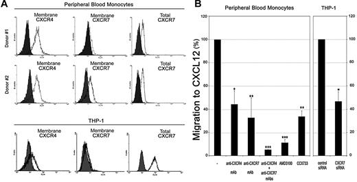 Figure 1. Expression of CXCL12 receptors, CXCR4 and CXCR7, in blood monocytes and contribution to CXCL12 mediated-chemotaxis. (A) CXCR4 and CXCR7 immunofluorescence of blood monocytes from 2 different donors (top and middle panels), and the THP-1 monocytic cell line (bottom panel). Unpermeabilized (membrane, left and middle) and permeabilized (total, right) cells were analyzed by flow cytometry. (B) Monocytes were pretreated with the CXCR4 antagonist (AMD3100; 25 μg/mL), with the CXCR7 antagonist (CCX733; 100nM) or with anti-CXCR4/CXCR7 antibodies (50 μg/mL) and allowed to migrate to CXCL12. Untreated (−) cells were used as migration control (100%). CXCL12-induced chemotaxis of CXCR7 siRNA-transfected THP-1 cells was compared with control siRNA-transfected cells. The percentages of migration referred to CXCL12-mediated chemotaxis are shown. Mean ± SD; n = 3; *P < .05, **P < .005, ***P < .0005.