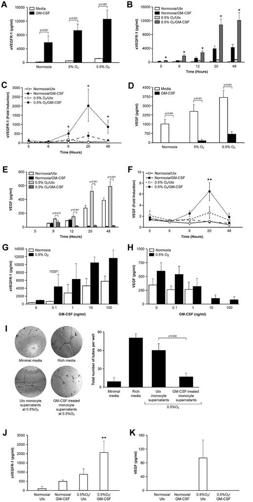 Figure 1. Production of sVEGFR-1 by mononuclear phagocytes increases with decreasing O2 concentration. (A) Human peripheral blood monocytes were cultured at 21% (ambient) O2, 5% O2 (mild hypoxia), or 0.5% O2 (severe hypoxia) in media alone or media containing 100 ng/mL GM-CSF. After 48 hours, culture supernatants were harvested and analyzed for sVEGFR-1 content by ELISA. Data are mean ± SEM of 7 normal donors. (B) Monocytes were stimulated with GM-CSF at ambient O2 or at 0.5% O2. Culture supernatants were harvested at the indicated time points and analyzed for sVEGFR-1 content by ELISA. Data are the mean ± SEM of 6 normal donors. (C) Monocytes were stimulated as in panel B and analyzed for sVEGFR-1 transcript by real-time PCR at the indicated time points. Data are the mean ± SEM of 6 normal donors. (D) Supernatants from the same cells as in panel A were measured using an ELISA that detects only bioavailable VEGF (ie, VEGF that is not bound to sVEGFR-1). (E) VEGF levels under the same conditions as in panel B. (F) VEGF transcript levels under the same conditions as in panel B. (G) Monocytes were cultured at ambient O2 or 0.5% O2 with increasing concentrations of GM-CSF (0.1 ng/mL to 100 ng/mL). sVEGFR-1 secretion after 48 hours was measured by ELISA. (H) VEGF levels in the same supernatants as in panel G. (I) HUVECs were cultured in Matrigel in unsupplemented media (negative control), media supplemented with 10 ng/mL VEGF (positive control), or supernatants derived from monocytes cultured at 0.5% O2 in the presence or absence of GM-CSF. A representative image from each condition is shown (left). The total number of tubes formed between discrete endothelial cells were counted in each well. Graphed results (right) represent the average ± SEM number of tubes/field using supernatants from 4 different monocyte donors. (J) Peripheral blood monocytes were differentiated into macrophages by 3-day culture with M-CSF before stimulation with 100 ng/mL GM-CSF at either ambient O2 or 0.5% O2. Culture supernatants were harvested after 48 hours, and sVEGFR-1 concentration was measured by ELISA. Data are mean ± SEM of 3 donors. (K) VEGF levels under the same conditions as in panel J. *P < .001 versus all other conditions at the same time point. **P < .05 versus all other conditions at the same time point. Utx indicates untreated.