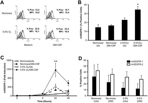 Figure 3. Hypoxia up-regulates expression of the membrane-bound VEGF-1 receptor from monocytes but not HUVECs. (A) Human peripheral blood monocytes were cultured at ambient O2 or 0.5% O2 in the presence of 100 ng/mL GM-CSF. After 48 hours, cells were analyzed for expression of mVEGFR-1 by flow cytometry. Results from a representative donor are shown. The shaded peak represents the staining of the isotype control. (B) mVEGFR-1 expression was analyzed on human peripheral blood monocytes treated as in panel A. Data are the mean ± SEM of 6 normal donors. (C) Expression of mVEGFR-1 mRNA in monocytes by real-time PCR. Data are mean ± SEM of 6 normal donors. (D) HUVECs were cultured at ambient O2 or 0.5% O2 in the presence of 100 ng/mL GM-CSF, and the surface expression of VEGFR-1 and VEGFR-2 was assessed by flow cytometry. Data are mean ± SEM of 4 independent experiments. *P < .001 versus untreated cells at normoxia. **P < .001 versus all other conditions at the same time point.