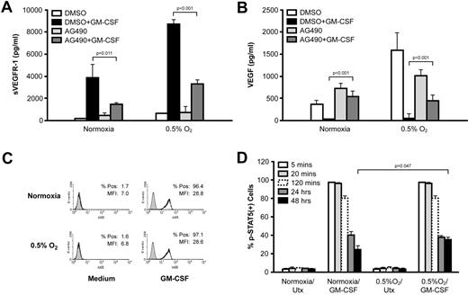 Figure 4. Monocyte production of sVEGFR-1 is dependent on JAK2/STAT5 signaling. (A) Human peripheral blood monocytes were treated with the JAK2/JAK3 inhibitor, AG490, before stimulation with GM-CSF at ambient O2 or 0.5% O2. Cell-free culture supernatants were collected after 48 hours and analyzed for sVEGFR-1 content by ELISA. (B) VEGF levels under the same conditions as in panel A. (C) Human peripheral blood monocytes were stimulated with GM-CSF for 5 minutes at ambient or 0.5% O2, and levels of p-STAT5 (Y694) were measured by flow cytometry. The shaded peak represents the staining of the isotype control. Results from a representative donor are shown. (D) Monocytes were stimulated with GM-CSF at ambient O2 or 0.5% O2 for various lengths of time (5 minutes to 48 hours), and p-STAT5 levels were measured by flow cytometry. Data are expressed as the percentage of positively stained cells at the indicated time points. All results represent the mean ± SEM of 4 normal donors.