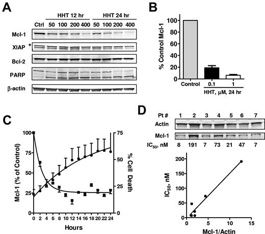Figure 2. HHT induced down-regulation of Mcl-1. (A) HHT induced down-regulation of Mcl-1 protein levels. CLL cells were incubated with 50, 100, 200, or 400nM HHT for 12 or 24 hours, when the cells were collected and lysed. Proteins such as PARP, Mcl-1, XIAP, and Bcl-2 were analyzed by immunoblotting. β-Actin was used as a loading control; * indicates nonspecific binding. (B) The down-regulation of Mcl-1 by HHT was significant in multiple samples. The Mcl-1 protein levels (mean ± SEM) were normalized to β-actin and quantitated in 5 (0.1μM HHT) and 3 (1μM HHT) patient samples. (C) Time course of HHT-induced reduction of Mcl-1 protein and apoptosis. CLL cells were incubated with HHT for 24 hours. Mcl-1 level (■) was quantitated by immunoblotting (n = 2) and cell death (●) was measured by annexin/PI every 2 hours (n = 6). (D) Sensitivity of CLL cells to HHT correlated with the basal Mcl-1 expression in each patient sample. Seven CLL samples were incubated with increasing concentrations of HHT for 24 hours. Cell death was measured by annexin/PI after 24 hours and correlated to basal Mcl-1 levels, quantitated by immunoblotting.