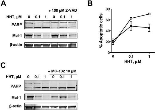 Figure 5. HHT-induced Mcl-1 down-regulation was largely because of proteasome degradation. (A) HHT-induced Mcl-1 down-regulation was not a result of caspase-3 cleavage. CLL cells were incubated with 0.1 or 1μM HHT for 24 hours with or without the addition of 100μM Z-VAD-FMK. PARP and Mcl-1 proteins were analyzed by immunoblotting. (B) Apoptosis was detected by annexin V–PI staining. Each data point represents the mean ± SEM of 4 patient samples; □ indicates HHT only; ■, HHT with 100μM Z-VAD-FMK. (C) HHT-induced Mcl-1 down-regulation was largely because of proteasome degradation. CLL cells were incubated with 0.1 or 1μM HHT for 24 hours with or without the addition of 10μM MG-132. PARP and Mcl-1 proteins were analyzed by immunoblotting.