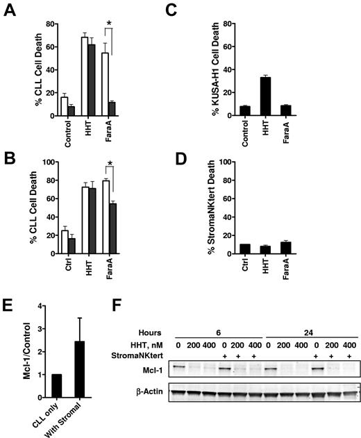 Figure 6. The stromal cells did not protect CLL cells from HHT-induced apoptosis. (A) CLL cells were incubated with 100nM HHT or 10μM F-ara-A (fludarabine (9-β-D-arabinofuranosyl-2-fluoroadenine)) for 24 hours at the absence (□) or presence ■) of the (A) murine stromal cell line KUSA-H1 (n = 3) or the (B) human stromal cell line StromaNKtert (n = 4). Cell death was measured by annexin V–PI staining. Toxicity of HHT to the KUSA-H1 (C) or StromaNKtert (D) was measured by incubating the stromal cells with HHT or F-ara-A for 24 hours before the cells were trypsinized for cell death measurement by annexin V–PI staining. *Difference was significant, P ≤ .05. (E) Incubating of CLL cells with stromal cells induced Mcl-1 expression. CLL cells were incubated with StromaNKtert cells for 24 hours, and Mcl-1 level was measured by immunoblotting. Data (mean ± SEM) represent the average of 4 CLL samples. (F) Reducing Mcl-1 level by HHT was not affected by stromal cells. CLL cells were incubated at the presence or absence of StromaNKtert cells for 24 hours before exposure to 200 and 400nM HHT for 6 and 24 hours. Mcl-1 levels were analyzed by immunoblotting. Data showed 1 of 4 CLL samples with similar results.