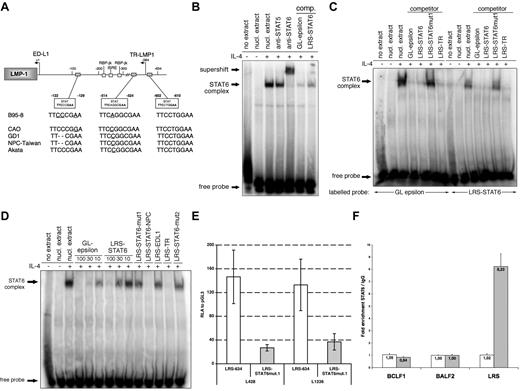 Figure 3. Identification and functionality of a new STAT-binding site in the LMP-1 promoter. (A) Schematic drawing shows the structure of the LMP-1 promoters and the conservation of its 3 STAT-binding sites among different EBV isolates. (B) DNA-binding activity of STAT6 analyzed in nuclear extracts prepared from IL-4–treated or nontreated KMH2-EBV cells by electrophoretic mobility shift assay (EMSA) experiment with the use of an oligonucleotide probe with a STAT6-binding site from the human GL-ϵ promoter. In the supershift experiments the nuclear extracts were preincubated with anti-STAT6 or anti-STAT5 antibodies, whereas in the cold competition experiments they were preincubated with 100-fold molar excess of unlabeled GL-ϵ or LRS-STAT6 probes. (C) DNA-binding activity of STAT6 analyzed in nuclear extracts prepared from IL-4–treated or nontreated KMH2-EBV cells by EMSA with the use of the GL-ϵ– or the LRS-STAT6–labeled probes. In the cold competition experiments, the nuclear extracts were preincubated with 100-fold molar excess of unlabeled GL-ϵ, LRS-STAT6, LRS-STAT6mut1, or LRS-TR probes. (D) DNA-binding activity of STAT6 analyzed in nuclear extracts prepared from IL-4–treated or nontreated KMH2-EBV cells by EMSA with the use of the GL-ϵ–labeled probe. In the cold competition experiments the nuclear extracts were preincubated with 100-, 30-, or 10-fold excess of unlabeled GL-ϵ or LRS-STAT6 probes. In additional competition experiments the extracts were incubated with 100-fold excess of unlabeled LRS-STAT6NPC, LRS-STAT6mut1, LRS-STAT6mut2, LRS-EDL1 or LRS-TR probes. (E) Relative luciferase activity (RLA) of the L428 and L1236 cell lysates after transient transfection with LRS-634 and LRS-STAT6mut1 reporter vectors compared with the pGL3 control. The error bars indicated ± SD of 3 independent experiments. (F) Chromatin immunoprecipitations (ChIPs) were performed with the untreated or IL-4–treated (1 hour, 50 ng/mL) KMH2-EBV cells with the use of polyclonal rabbit control Ig or STAT6-specific antibodies. The results are expressed as the fold enrichment of precipitated DNA after ChIP with anti-STAT6 antibody (gray bars) relative to ChIP with control IgG (white bars) as measured by quantitative polymerase chain reaction with primers located around the STAT6-binding site in the LMP-1 promoter or at 2 negative control regions in the EBV genome (BCLF1 and BALF2). The error bars indicate SD of 3 quantitative polymerase chain reaction measurements of 1 ChIP experiment. The results are representative of 2 independent ChIPs.