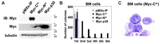 Figure 3. C/EBPα-Cm, but not C/EBPα-Nm, immortalized BM cells. (A) Expression of C/EBPα-Cm, C/EBPα-Nm, or C/EBPα-p30 in BM cells transduced with Myc-tagged C/EBPα-Cm, C/EBPα-Nm, C/EBPα-p30, or mock (pMXs-IP). Cell lysates were subject to immunoblotting with anti-Myc Ab or anti-tubulin Ab as control. The results shown are representative of 3 independent experiments. (B) Colony-forming assay from BM cells transduced with C/EBPα-Cm, C/EBPα-Nm, C/EBPα-p30, or mock (pMXs-IP). Bars represent the number of colonies obtained per 104 cells after each round of plating in methylcellulose supplemented with stem cell factor, thrombopoietin, IL-3, and IL-6. Data are representative of 3 independent experiments. All data points correspond to the mean and the standard deviation (SD) of 3 independent experiments. (C) Cytospin preparations of immortalized BM cells transduced with C/EBPα-Cm were stained with Giemsa. Images were obtained with a BX51 microscope and a DP12 camera (Olympus); objective lens, UplanFl (Olympus); original magnification ×100.