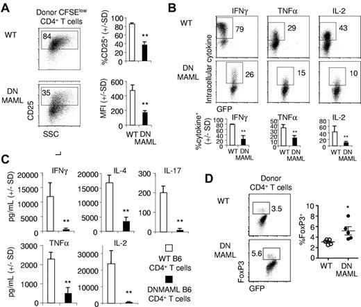 Figure 4. Impaired activation and cytokine response in alloreactive DNMAML CD4+ T cells. WT or DNMAML B6 CD4+ T cells were tracked after transplantation into lethally irradiated MHC-mismatched BALB/c mice (900 rads). (A) Decreased expression of CD25 (IL-2Rα) in DNMAML CFSElow donor CD4+ T cells. Bar graphs show the percentage of cells expressing CD25 and the CD25 mean fluorescence intensity (MFI; mean ± SD, n = 3). (B) Intracellular staining for IFNγ, TNFα, and IL-2 after ex vivo restimulation with plate-bound anti-CD3 and anti-CD28 antibodies. Data are representative of 5 experiments. Bar graphs show mean ± SD (n = 3). (C) Cytokine production by 3 × 104 donor-derived CD4+ T cells sort-purified 5 days after transplantation and cultured for 6 hours in the presence of anti-CD3/anti-CD28 antibodies (mean ± SD). (D) Intracellular staining for FoxP3 in donor WT and DNMAML CD4+ T cells on day 5. *P < .05, **P < .01 (2-tailed unpaired Student t test).