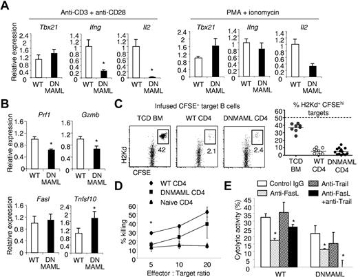 Figure 5. Hyporesponsiveness of alloreactive DNMAML CD4+ T cells to CD3/CD28-mediated signals, but significant preservation of cytotoxic potential. CFSElow donor-derived WT or DNMAML CD4+ T cells were sort-purified at day 5 after transplantation into lethally irradiated (900 rads) BALB/c hosts. The cells were restimulated ex vivo during 6 hours with plate-bound anti-CD3/anti-CD28, or with PMA and ionomycin. (A) Decreased Il2 transcripts and impaired expression of Ifng despite normal induction of Tbx21 (encoding T-bet) in DNMAML CD4+ T cells after stimulation with anti-CD3/anti-CD28 antibodies. PMA and ionomycin could partially rescue Il2 and fully induce Ifng expression. (B) Modest decrease in Prf1 and Gzmb transcripts, but preserved induction of Fasl and Tnfsf10 mRNA (encoding Trail) in DNMAML CD4+ T cells. (C) In vivo cytotoxic activity of WT or DNMAML CD4+ T cells against infused CFSEhi host-type BALB/c (H-2d) B cell targets, compared with control CFSElo B6-SJL cells (H-2b). Analysis was performed on day 14, 18 hours after infusion of CFSE-labeled targets at a 1:1 ratio (107 each). Data are shown as percent residual CFSEhiH-2Kd+ cells among all infused CFSE-labeled B cells. The dotted line represents expected recovery in the absence of cytotoxicity. (D) In vitro cytotoxic activity of WT or DNMAML CD4+ T cells against A20 leukemia cells. *P < .05 (2-tailed unpaired Student t test). (E) Inhibition of in vitro cytotoxic activity of DNMAML CD4+ T cells by anti-FasL and anti-Trail antibodies. *P < .05 (2-tailed unpaired Student t test).