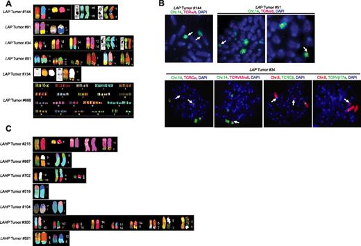 Figure 4. LAP and LAHP thymic lymphomas exhibit distinct patterns of genomic instability. (A) LAP thymic lymphomas harbor clonal translocations. Shown are spectral and computer-classified images of the clonal translocations observed in 5 of the LAP tumors (nos. 144, 91, 34, 51, and 734) and the short arm fusions found in 2 of the LAP tumors (nos. 144 and 34) by SKY. Also shown is the karyotype table of one metaphase from LAP tumor 688 demonstrating aneuploidy but no apparent translocations. The identities of the chromosomes participating in these translocations or fusions are indicated. DAPI images are depicted for the chromosome fusions within LAP tumors 144 and 34 to reveal the structure of these chromosome lesions. DAPI images also are shown for the normal chromosome 9 and t(9;16) translocation in LAP tumor 734 to reveal a centromere-like structure on the chromosome 9 portion of the t(9;16) translocation. (B) LAP thymic lymphomas contain clonal Tcrα/δ translocations. Shown are representative FISH and chromosome paint analyses of LAP tumors with clonal chromosome 14 translocations (nos. 144, 51, and 34) to evaluate for potential involvement of Tcrα/δ loci (tumors 144, 51, and 34) and Tcrβ loci (tumor 34). All images were counterstained with DAPI to visualize chromosomes. Arrows indicate translocation sites that involve Tcrα/δ or Tcrβ loci. For spectral karyotyping (SKY), whole chromosome painting (WCP), and FISH analysis, metaphases were prepared using standard protocols (Coldemid treatment), and then hybridized with SKY and WCP probes from Applied Spectral Imaging according to manufacturers' instructions, and/or with labeled BAC FISH probes according to standard protocols. (C) LAHP thymic lymphomas harbor clonal translocations. Shown are spectral and classified images of the clonal translocations observed in each of the 7 LHP tumors (nos. 215, 887, 702, 519, 104, 300, and 521) analyzed by SKY. The identities of the chromosomes participating in these translocations are indicated. For tumor 215, a normal chromosome 6 and a normal chromosome 12 are shown to reveal the chromosome 6 fragment and the elongated chromosome 12.