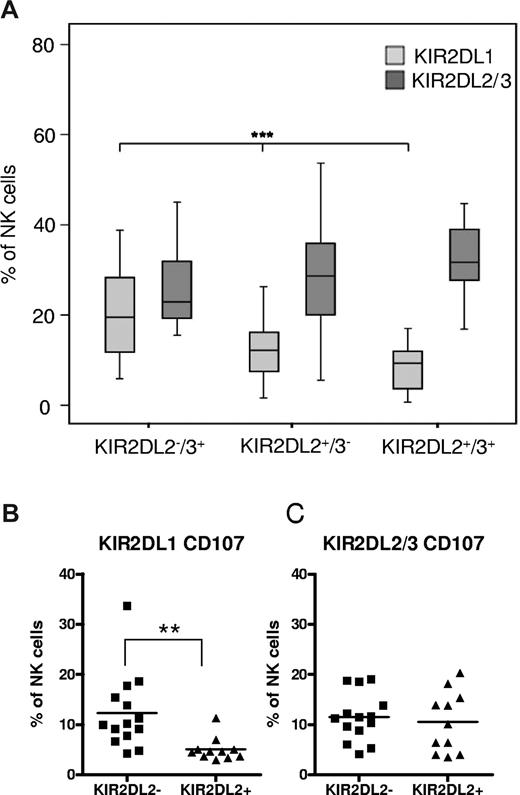 Figure 3. The KIR2DL1+ NK cell compartment is influenced by the allelic state of KIR2DL2/3. (A) The frequency of NK cells expressing KIR2DL1 and KIR2DL2/3 is shown for donors with group B haplotypes (A/B and B/B) who were divided into 3 groups according to the allelic state of the KIR2DL2/3 gene. Data are represented as box plots: that represent the median and 25/75 percentiles, whiskers the lowest and largest non-outlier data points (at most 1.5 times the box width). Statistical significance was determined by ANOVA at ***P < .001. (B-C) Frequency of NK cells expressing KIR2DL1 (B) or KIR2DL2/3 (C) in a CD107 mobilization assay against K562 target cells. Samples from donors without (n = 14) and with (n = 11) KIR2DL2 genes are presented in scatter plots with each dot representing 1 sample. Results are expressed as fraction of all CD56+ NK cells. Statistical significance was calculated by 2-tailed t test as **P < .01.