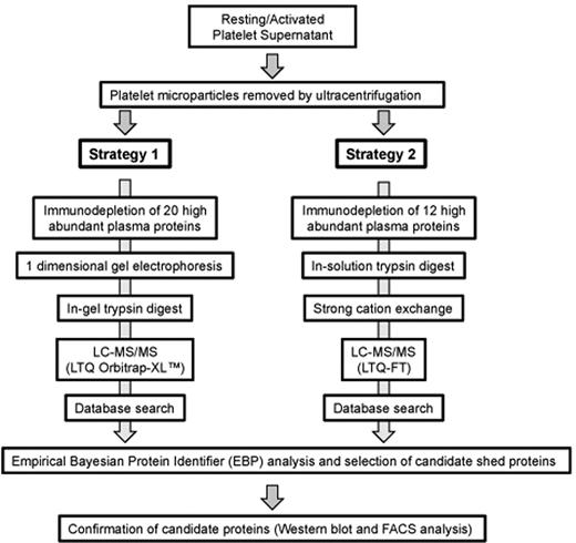 Figure 1. Proteomic strategies to identify and validate shed proteins of the platelet sheddome. Washed human platelets were activated with 10μM PMA at 37°C for 1 hour and then analyzed using the 2 strategies shown. Details are given in “Methods” and supplemental data.