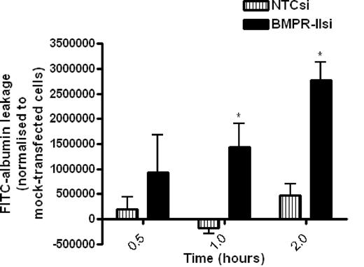 Figure 2. Assessment of FITC-labeled albumin leakage across HPAEC monolayers transfected with siRNA-targeting BMPR-II, nontargeting control siRNA, or mock-transfected HPAEC. Mock-transfected HPAECs or HPAECs transfected with BMPR-IIsi or NTC siRNA were seeded onto Transwell filters. FITC-labeled albumin was added to the upper chamber, and leakage into the lower chamber was measured after 0.5, 1, and 2 hours and normalized to FITC-albumin leakage through mock-transfected HPAECs. Data are the mean ± SEM for 4 independent experiments. *P < .05, compared with NTCsi-transfected HPAECs by Student t test.