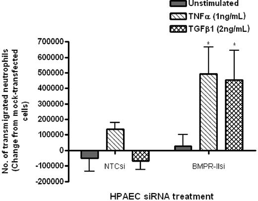 Figure 3. Effect of reduced BMPR-II expression in HPAECs on leukocyte recruitment under static conditions. Mock-transfected HPAECs or HPAECs transfected with siRNA-targeting BMPR-II or nontargeting control siRNA were seeded onto Transwell filters, then unstimulated or stimulated with TNF-α for 4 hours or TGF-β1 for 24 hours. Neutrophil transmigration was assessed after 2 hours and shown as the change in the number of transmigrated neutrophils from mock-transfected HPAECs. Data are the mean ± SEM for 4 independent experiments. *P < .05, compared with NTCsi-transfected HPAECs by paired t test.