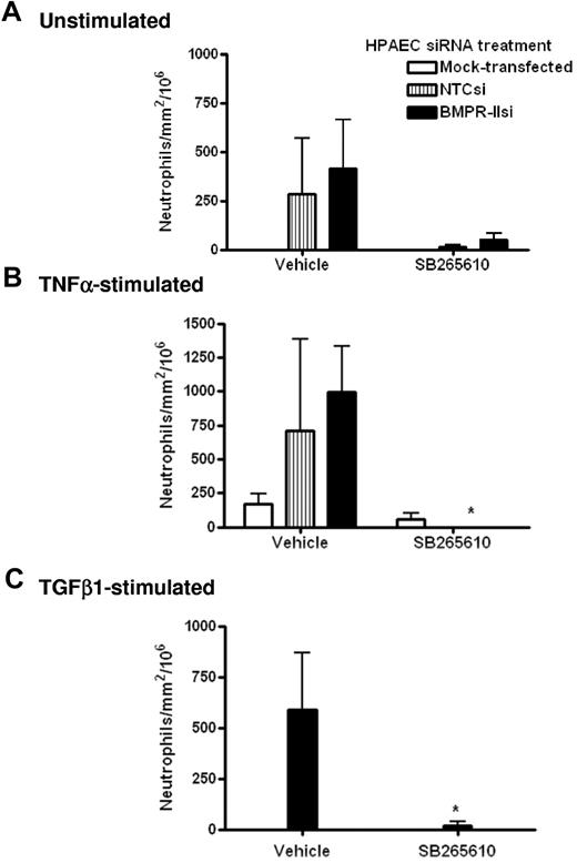 Figure 6. Effect of CXCR2 antagonist SB265610 on neutrophil transmigration through HPAEC with reduced BMPR-II expression. Mock-transfected HPAECs or HPAECs transfected with siRNA-targeting BMPR-II or nontargeting control siRNA were seeded into Ibidi IV flow slides, then unstimulated (A), stimulated with TNF-α for 4 hours (B), or TGF-β1 for 24 hours (C). Neutrophils were incubated with the CXCR2 antagonist, SB265610, or vehicle at 37°C for 10 minutes before perfusion across the endothelial monolayer for 2 minutes, followed by washout. Data are the mean ± SEM for 6 independent experiments for unstimulated HPAECs and 3 experiments for TNF-α and TGF-β1–stimulated HPAECs. *P < .05, compared with cells treated with vehicle by Student t test.