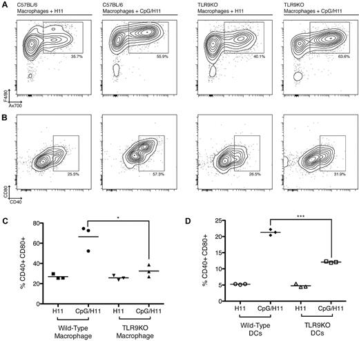 Figure 5. Preincubation of H11 cells with CpG enhances phagocytosis and activation of macrophage and DCs. (A) Ax700-labeled CpG/H11 or H11 tumor cells were added to macrophage-containing wells for 24 hours. Nonadherent cells were washed off the plate, and the remaining macrophages were harvested and analyzed by flow cytometry. Phagocytosis was assessed by the percentage of Ax700+F4/80+ cells (top row). (B) Activation was assessed by expression of CD40 and CD80 (bottom row). Plots are representative of 3 independent wells per condition. (C) Data from 3 independent wells shows the percentage of CD40+CD80+ macrophages from either wild-type C57BL/6 or TLR9KO mice after incubation with CpG/H11 or H11. *P < .05 (Student unpaired t test). (D) Bone marrow–derived DCs were assayed for phagocytosis and activation as above. Data from 3 independent wells show the percentage of CD40+CD80+ DCs from either wild-type C57BL/6 or TLR9KO mice after incubation with CpG/H11 or H11. ***P < .0001. All plots are gated on live cells.