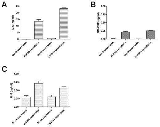 Figure 2. HCMV induces secretion of the angiogenic factors IL-6, GM-CSF, and IL-8. (A) ELISA quantification of IL-6 levels in 3 different supernatants of fibroblasts infected with HCMV AD169 and HUVECs infected with HCMV VR1814. (B) ELISA quantification of GM-CSF levels in 3 different supernatants of fibroblasts infected with HCMV AD169 and HUVECs infected with HCMV VR1814. (C) ELISA quantification of IL-8/CXCL8 levels in 3 different supernatants of fibroblasts infected with HCMV AD169 and HUVECs infected with HCMV VR1814.